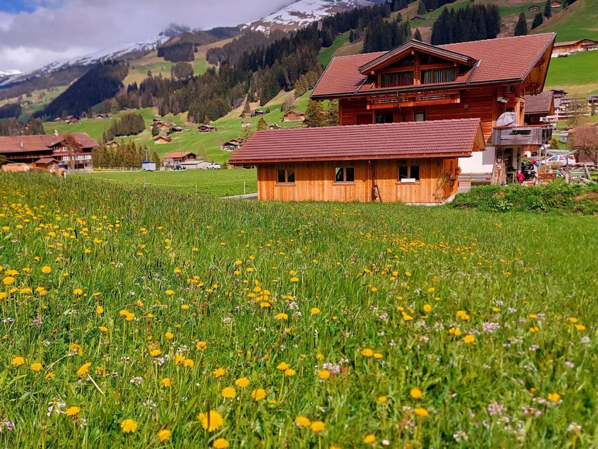 Apartment Laerchehuus By Interhome Adelboden Eksteriør billede